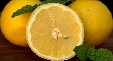 En ucuz limon nerede? 17 Haziran 2026 Güncel Limon Fiyatları ve Piyasa Analizi