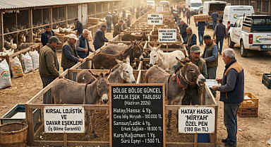 Eşek fiyatları belli oldu! Güncel Eşek İlanları ve Bölgesel Fiyat Analizi