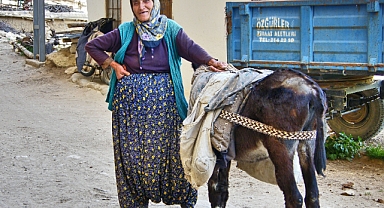 Eşek fiyatları ne kadar! Eşek Pazarında Fiyat Uçurumu: 1.500 TL'den Başlıyor, 180 Bin TL'ye Kadar Çıkıyor!