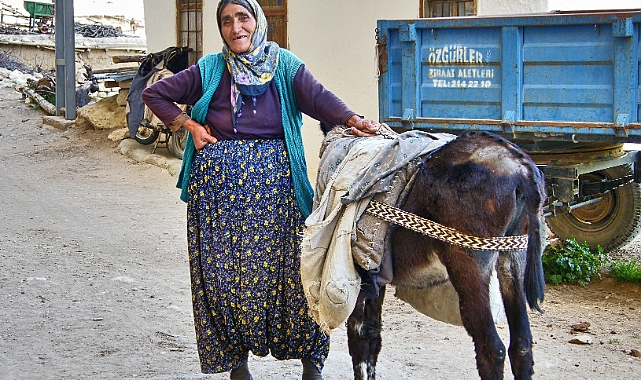 Eşek fiyatları ne kadar! Eşek Pazarında Fiyat Uçurumu: 1.500 TL'den Başlıyor, 180 Bin TL'ye Kadar Çıkıyor!