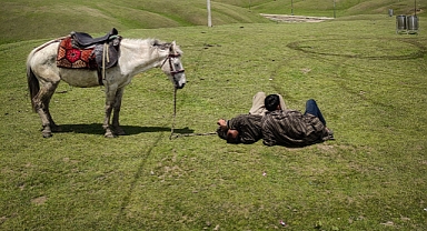 Hayvanlarını otlatacaklara müjde! Merası olmayana mera, otlağı olmayana otlak fırsatı