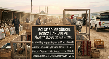 Horoz fiyatları belli oldu! Bölge Bölge Güncel Horoz İlanları ve Fiyat Tablosu