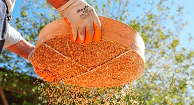 Hububat Fiyatları Güncellendi: Buğday ve Arpa Piyasasında Son Durum