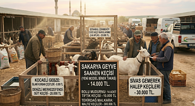 Keçi fiyatları belli oldu! Bölge Bölge Güncel Keçi İlanları ve Fiyat Tablosu