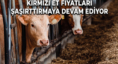 Kırmızı et fiyatları şaşırtmaya devam ediyor! Kırmızı Et ve Canlı Hayvan Piyasasında Son Durum