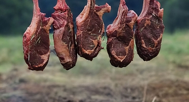 Kırmızı Et Pazarında Hareketlilik: Dana Karkas Fiyatlarında Güncel Durum Haziran 2026