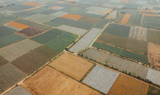 Tarımda Akıllı Su Yönetimi: Bitkiler İçin En İyi Sulama Uygulamaları ve Besin Dengesi