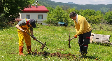 Tarlanın Röntgeni: Toprak Analizi Sonuçlarını Okuma Rehberi