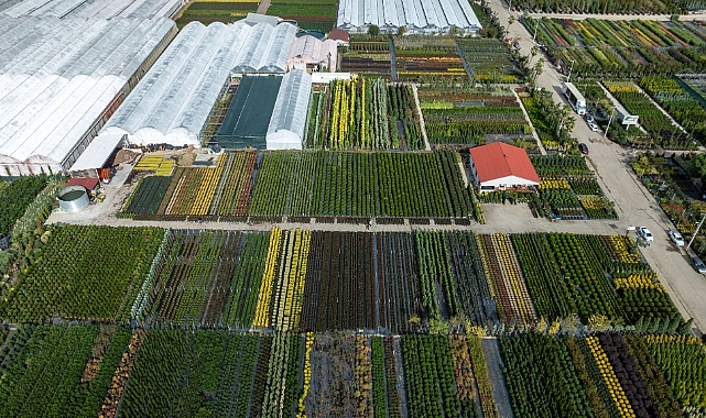 Toprağın Sindirim Sistemi: Sebze Yetiştiriciliğinde Kompostlama Temelleri ve Mineral Dengesi
