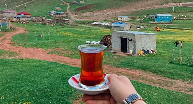 Yayla gibisi var mı? Türkiye’de En İyi 10 Yayla (2026 Doğa Rehberi) ️