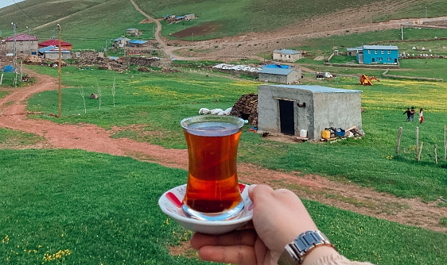 Yayla gibisi var mı? Türkiye’de En İyi 10 Yayla (2026 Doğa Rehberi) ️