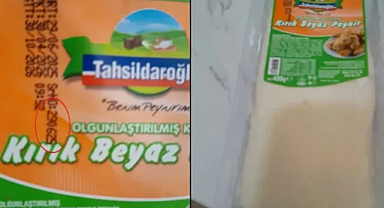Tahsildaroğlu Peynirinde Listeria Bakterisi Skandalı Nedir