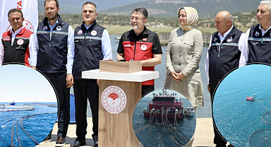 Türk Balıkları Dünya Sofralarında: İhracatı Uçuran Yıldız Balıklar neler?