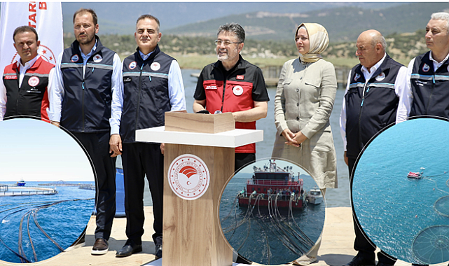 Türk Balıkları Dünya Sofralarında: İhracatı Uçuran Yıldız Balıklar neler?
