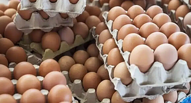 Yumurta Fiyatlarında Ani Artış Nedenleri Nelerdir, Yumurtaya Ne Kadar Zam Geldi?
