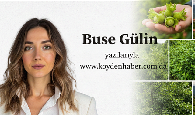 Karadeniz'in Kalbi Sıkıntıda: Fındık Dalında Kırılan Umutlar